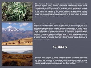Selva Tucumano-Oranense La selva tucumano-oranense se encuentra en las provincias de Salta, Jujuy, Tucumán y Catamarca, y se desarrolla en las sierras Subandinas (Salta, Jujuy y Tucumán) y en los cordones más orientales de las sierras Pampeanas de Tucumán y Catamarca. La selva trepa por los faldeos de las sierras y quebradas, conformando diversos pisos de vegetación según la altura. La ubicación de las sierras con respecto a los vientos húmedos del este impone también variaciones en la vegetación. Como las precipitaciones son estivales, la actividad vegetal hace una pausa invernal. Esto se manifiesta en un menor número de especies y en un crecimiento más lento que en la selva misionera. Puna Este bioma conforma un hábitat sumamente adverso, ya que a las condiciones de aridez se suma la altura. En los sitios mas favorables hay arbustos, como el cardon y la queñoa, y en las riberas de los escasos arroyos se desarrollan tolares. La fauna esta dominada por camélidos, como la vicuña, el guanaco, y la llama ; también hay roedores, aves y carnívoros, como el puma el gato de los pajonales. Semidesierto Altoandino Este bioma se desarrolla en zonas de alta montaña. En la porción norte ocupa áreas por encima de los 4.500 m de altura, mientras que en el sector sur se presenta en formas mas aisladas y con alturas menores. En las laderas abruptas de las laderas domina la estepa arbustiva. Los pastizales, en cambio, crecen en faldeos y lomadas suaves y en las zonas con agua, estas últimas conocidas como "vegas cordilleranas". La vegetación se adapta a las condiciones climáticas de aridez, del frío y del fuerte viento. Por esto, las plantas crecen al ras del suelo, formando matas circulares y compactas, para reducir su parte aérea. La fauna presenta características similares a la puneña. El hombre aprovecha los pastizales para alinear el ganado ovino y caprino (campos de veranda) hasta que, con las primeras nieves el ganado se traslada a zonas mas bajas. BIOMAS 