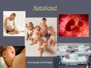 Natalidad. www.google.com/images 