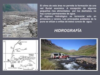 El clima de esta área no permite la formación de una red fluvial exorreica. A excepción de algunos pequeños ríos alimentados  por los deshielos, no hay cursos permanentes de agua. El régimen hidrológico es torrencial solo en primavera y verano. Los principales poblados de la puna se sitúan a orillas de éstos cursos de  agua.  HIDROGRAFÍA 