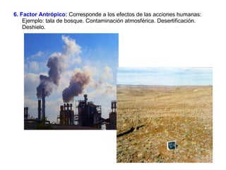 6. Factor Antrópico:  Corresponde a los efectos de las acciones humanas: Ejemplo: tala de bosque. Contaminación atmosférica. Desertificación. Deshielo.  