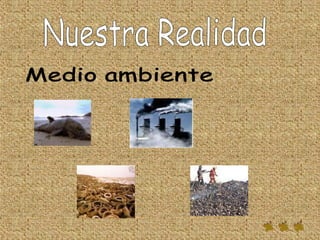 Nuestra Realidad Medio ambiente  