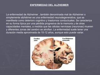 ENFERMEDAD DEL ALZHEIMER La enfermedad de Alzheimer , también denominada mal de Alzheimer o simplemente alzhéimer es una enfermedad neurodegenerativa, que se manifiesta como deterioro cognitivo y trastornos conductuales. Se caracteriza en su forma típica por una pérdida progresiva de la memoria y de otras capacidades mentales, a medida que las células nerviosas (neuronas) mueren y diferentes zonas del cerebro se atrofian. La enfermedad suele tener una duración media aproximada de 10-12 años, aunque esto puede variar. 