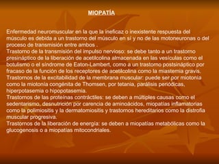 MIOPATÍA Enfermedad neuromuscular en la que la ineficaz o inexistente respuesta del músculo es debida a un trastorno del músculo en sí y no de las motoneuronas o del proceso de transmisión entre ambos . Trastorno de la transmisión del impulso nervioso: se debe tanto a un trastorno presináptico de la liberación de acetilcolina almacenada en las vesículas como el botulismo o el síndrome de Eaton-Lambert, como a un trastorno postsináptico por fracaso de la función de los receptores de acetilcolina como la miastemia gravis.  Trastornos de la excitabilidad de la membrana muscular: puede ser por miotonía como la miotonía congénita de Thomsen, por tetania, parálisis periódicas, hiperpotasemia o hipopotasemia.  Trastornos de las proteínas contráctiles: se deben a múltiples causas como el sedentarismo, desnutrición por carencia de aminoácidos, miopatías inflamatorias como la polimiositis y la dermatomiositis y trastornos hereditarios como la distrofia muscular progresiva.  Trastornos de la liberación de energía: se deben a miopatías metabólicas como la glucogenosis o a miopatías mitocondriales. 