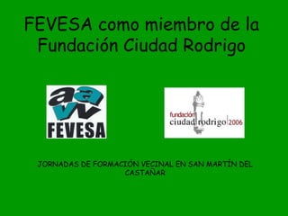 FEVESA como miembro de la
Fundación Ciudad Rodrigo
JORNADAS DE FORMACIÓN VECINAL EN SAN MARTÍN DEL
CASTAÑAR
 