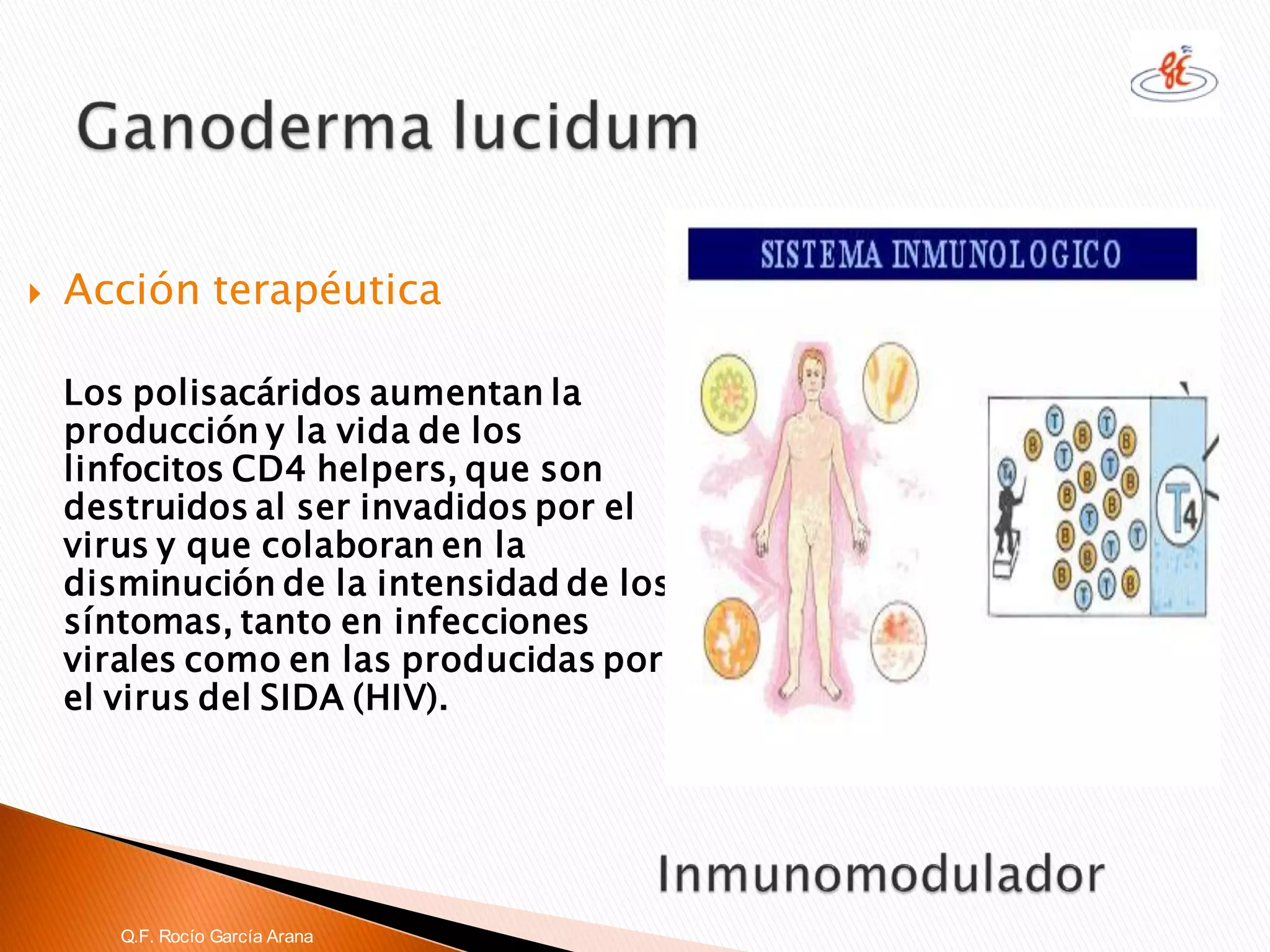 Acción terapéutica 
Los polisacáridos aumentan la producción y la vida de los linfocitos CD4 helpers, que son destruidos al ser invadidos por el virus y que colaboran en la disminución de la intensidad de los síntomas, tanto en infecciones virales como en las producidas por el virus del SIDA (HIV). Q.F. Rocío García Arana  