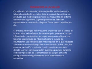 PERJUICIOS A LA SALUDConsiderado inicialmente como un posible medicamento, el tabaco ha resultado ser, sobre todo a causa de la nicotina, un producto que modifica gravemente las respuestas del sistema nervioso del organismo. Algunas personas se habitúan rápidamente a consumirlo y llegan a fumar varias cajetillas por día.El proceso patológico más frecuente producido por el tabaco es la bronquitis y el enfisema, fenómenos principalmente de tipo inflamatorio y destructivo, pero que pueden complicarse con lesiones obstructivas, de fibrosis alveolar e incluso de neumotórax. Las opiniones son más dispares en lo que respecta a los trastornos neuropsiquiátricos destacando, sobre todo, los casos de excitación o malestar. La nicotina tiene un efecto directo sobre el sistema vascular, pudiendo producir gangrena como complicación de la enfermedad de Burger. El hábito tabáquico influye negativamente en la potencia sexual masculina.