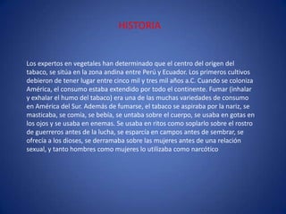 HISTORIALos expertos en vegetales han determinado que el centro del origen del tabaco, se sitúa en la zona andina entre Perú y Ecuador. Los primeros cultivos debieron de tener lugar entre cinco mil y tres mil años a.C. Cuando se coloniza América, el consumo estaba extendido por todo el continente. Fumar (inhalar y exhalar el humo del tabaco) era una de las muchas variedades de consumo en América del Sur. Además de fumarse, el tabaco se aspiraba por la nariz, se masticaba, se comía, se bebía, se untaba sobre el cuerpo, se usaba en gotas en los ojos y se usaba en enemas. Se usaba en ritos como soplarlo sobre el rostro de guerreros antes de la lucha, se esparcía en campos antes de sembrar, se ofrecía a los dioses, se derramaba sobre las mujeres antes de una relación sexual, y tanto hombres como mujeres lo utilizaba como narcótico