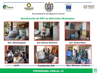 Municipalidad de San Miguel de Tucumán
PROGRAMA URB-AL III 11
20
Recolección de PET en diferentes Municipios
Esc. Monteagudo Col. Nueva América Col. Santa Rosa
Esc. Güemes JardinesALPI Fundación Sol
 