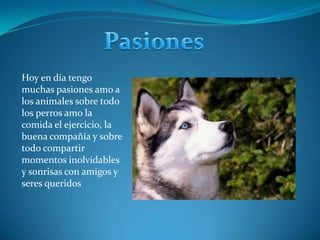 Pasiones Hoy en día tengo muchas pasiones amo a los animales sobre todo los perros amo la comida el ejercicio, la buena compañía y sobre todo compartir momentos inolvidables y sonrisas con amigos y seres queridos 