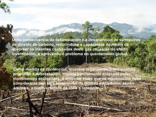 Unha consecuencia da deforestación é a desaparición de sumidoiros de dióxido de carbono, reducíndose a capacidade do medio de absorber as inxentes cantidades deste gas causante do efecto invernadoiro, e agravando o  problema  do quentamento global. Como medida de contención, diversos organismos internacionais propoñen a reforestación, medida parcialmente aceptada polos movementos ecoloxistas, ó entender estes que na repoboación debe considerarse non só a eliminación do dióxido de carbono, senón ademais, a biodiversidade da zona a repoboar  