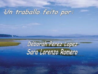 Un traballo feito por: Déborah Perez Lopez Sara Lorenzo Romero 