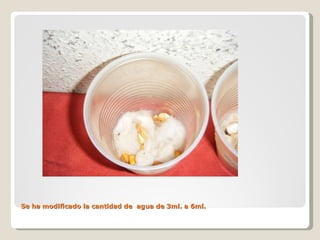 Se ha modificado la cantidad de  agua de 3ml. a 6ml. 