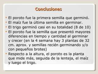 Conclusiones El poroto fue la primera semilla que germinó. El maíz fue la última semilla en germinar. El trigo germinó casi en su totalidad (8 de 10) El poroto fue la semilla que presentó mayores diferencias en tiempo y cantidad al germinar y crecer (en la 4 semana hay 3 plantas de 32 cm. aprox. y semillas recién germinando y/o con pequeños brotes) Respecto a la altura, el poroto es la planta que mide más, seguida de la lenteja, el maíz y luego el trigo. 