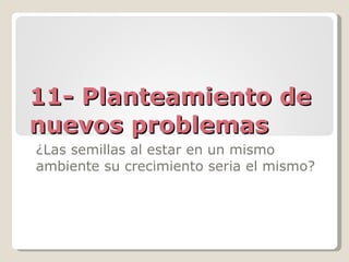 11- Planteamiento de nuevos problemas ¿Las semillas al estar en un mismo ambiente su crecimiento seria el mismo? 
