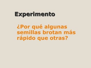 Experimento ¿Por qué algunas  semillas brotan más rápido que otras? 