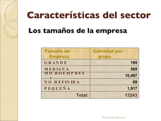 Características del sector Los tamaños de la empresa Presupuesto Bancario Tamaño de Empresa Cantidad por grupo GRANDE 195 MEDIANA 565 MICROEMPRESA 10,497 NO DEFINIDA 69 PEQUE Ñ A 1,917 Total: 13243 