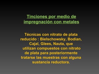 Tinciones por medio de impregnación con metales Técnicas con nitrato de plata reducido : Bielschowsky, Bodian, Cajal, Glees, Nauta, que utilizan compuestos con nitrato de plata para posteriormente tratarse las muestras con alguna sustancia reductora. 