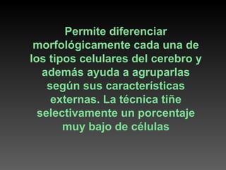 Permite diferenciar morfológicamente cada una de los tipos celulares del cerebro y además ayuda a agruparlas según sus características externas. La técnica tiñe selectivamente un porcentaje muy bajo de células 