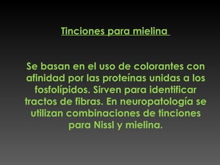 Tinciones para mielina  Se basan en el uso de colorantes con afinidad por las proteínas unidas a los fosfolípidos. Sirven para identificar tractos de fibras. En neuropatología se utilizan combinaciones de tinciones para Nissl y mielina. 