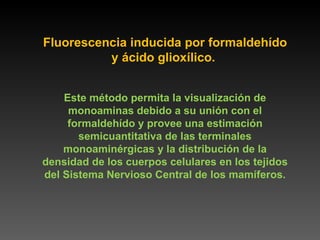 Fluorescencia inducida por formaldehído y ácido glioxílico.  Este método permita la visualización de monoaminas debido a su unión con el formaldehído y provee una estimación semicuantitativa de las terminales monoaminérgicas y la distribución de la densidad de los cuerpos celulares en los tejidos del Sistema Nervioso Central de los mamíferos. 