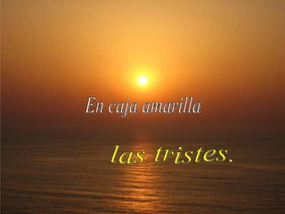 En caja amarilla las tristes.