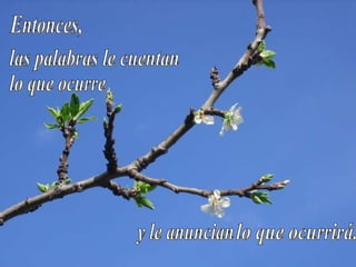 Entonces, las palabras le cuentan lo que ocurre y le anuncian lo que ocurrirá.