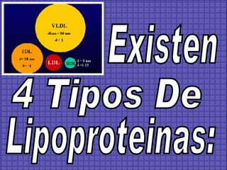 Existen 4 Tipos De Lipoproteinas: 