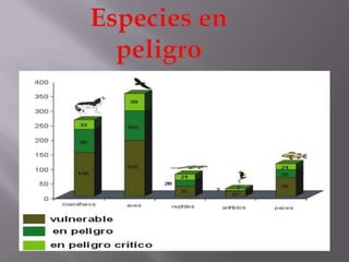 Especies en peligro