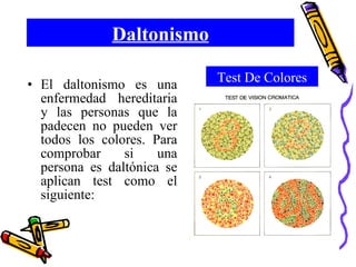 Daltonismo El daltonismo es una enfermedad hereditaria y las personas que la padecen no pueden ver todos los colores. Para comprobar si una persona es daltónica se aplican test como el siguiente: Test De Colores 