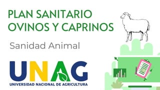 PLAN SANITARIO
OVINOS Y CAPRINOS
Sanidad Animal
 
