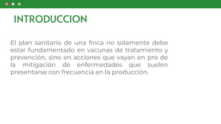 INTRODUCCION
El plan sanitario de una finca no solamente debe
estar fundamentado en vacunas de tratamiento y
prevención, sino en acciones que vayan en pro de
la mitigación de enfermedades que suelen
presentarse con frecuencia en la producción.
 