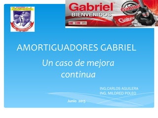 AMORTIGUADORES GABRIEL
Un caso de mejora
continua
ING.CARLOS AGUILERA
ING. MILDRED POLEO
Junio 2013
 