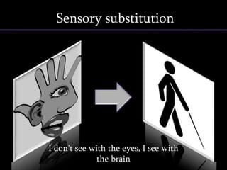 Sensory substitution




I don’t see with the eyes, I see with
              the brain                 5
 