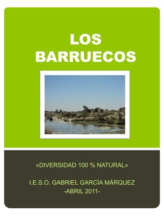 LOS
 BARRUECOS




 «DIVERSIDAD 100 % NATURAL»

I.E.S.O. GABRIEL GARCÍA MÁRQUEZ
            -ABRIL 2011-
 