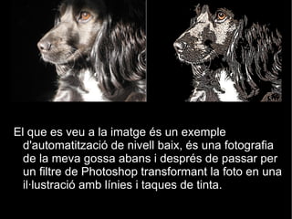 Quantificació  de les mostres, es a dir, se li assignen uns valors numèrics a partir d'una escala definida prèviament. 