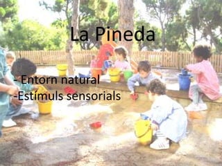 La Pineda- Entorn natural-Estímulssensorials