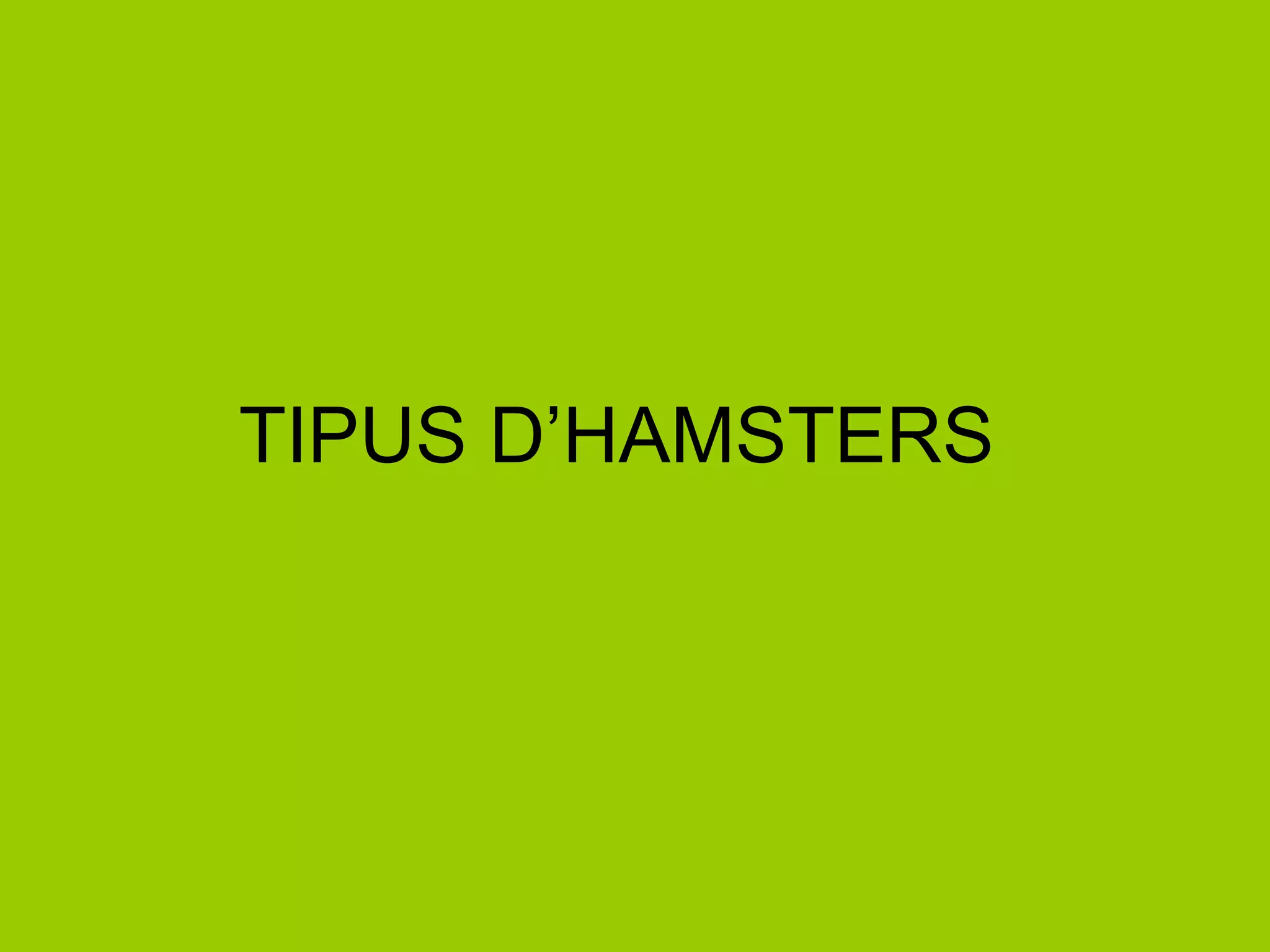TIPUS D’HAMSTERS 