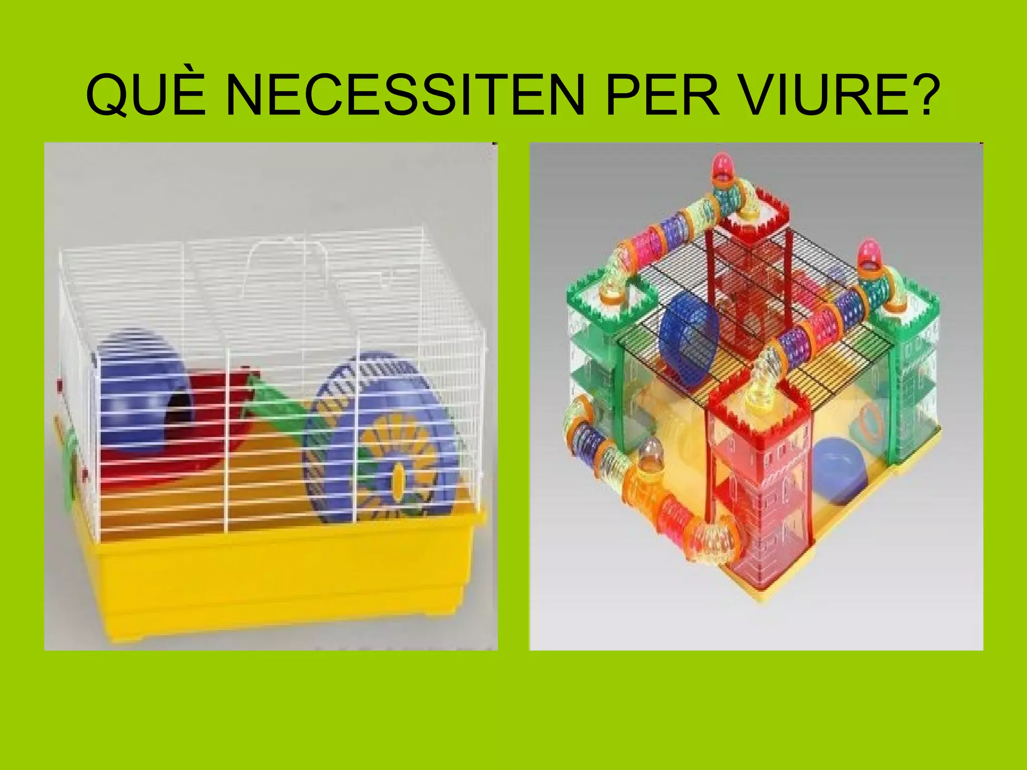 QUÈ NECESSITEN PER VIURE? 