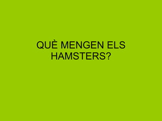 QUÈ MENGEN ELS HAMSTERS? 