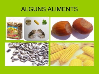ALGUNS ALIMENTS 