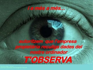 i a més a més... autoritzem  que l'empresa propietària recullga dades del nostre ordinador T'OBSERVA 