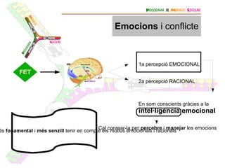 Habilitats cognitives_La generació d' alternatives 