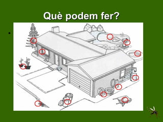 Què podem fer? Evitar llocs on s’acumulin petites quantitats d’aigua... ...així no podrà criar. 