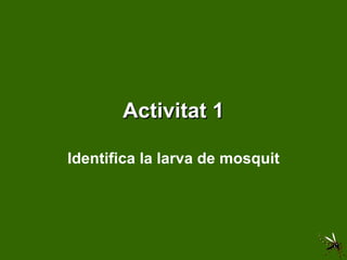 Activitat 1 Identifica la larva de mosquit 