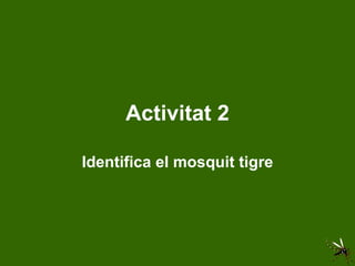 Activitat 2 Identifica el mosquit tigre 