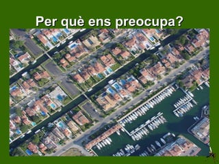 Per què ens preocupa? Perquè conviu  amb nosaltres Sobretot en  llocs amb cases  amb jardí Sol criar en llocs privats on no  s’hi pot entrar Utilitza recipients abandonats per reproduir-se 