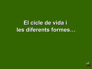 El cicle de vida i  les diferents formes… 