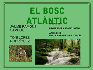 EL BOSC
ATLÀNTICJAUME RAMON I
SAMPOL
TONI LÓPEZ
RODRÍGUEZ
BIOLOGIA
PROFESSORA: ISABEL NIETO
ABRIL 2013
E4A, IES BERENGUER D'ANOIA
 