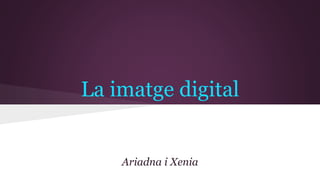 La imatge digital 
Ariadna i Xenia 
 