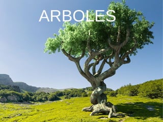 ARBOLES
1
 